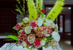 手机花卉虚化艺术 从镜头捕捉到心灵“饲料”