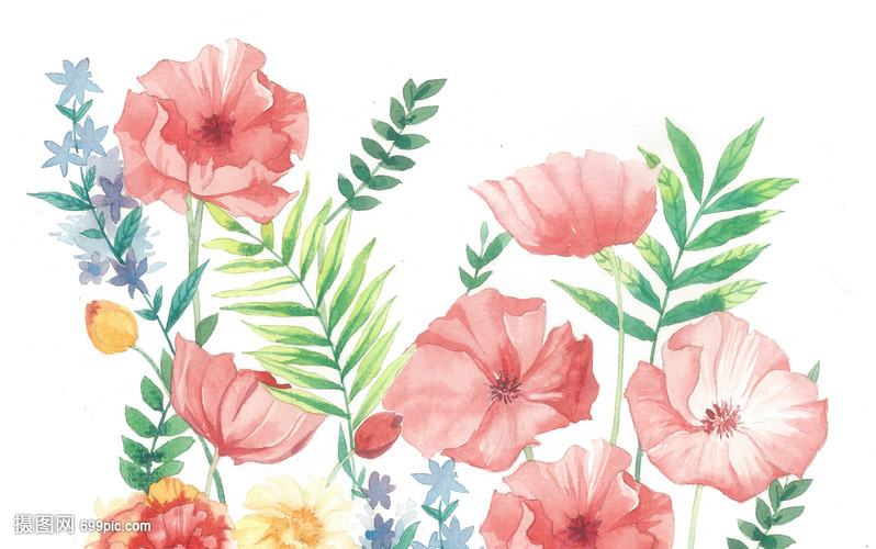 手绘水彩花卉绿植 绿植盆栽的艺术之美