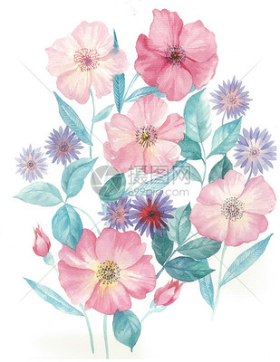 手绘水彩花卉 绿植盆栽的艺术表达