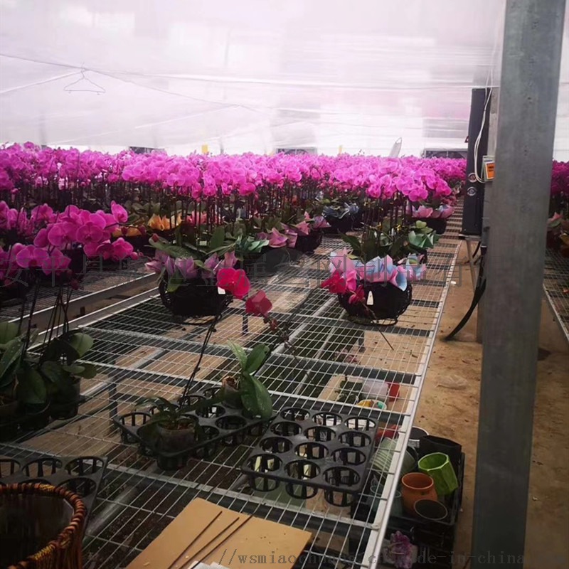 现代化移动苗床 航迪养花网引领绿植盆栽生产工艺新潮流